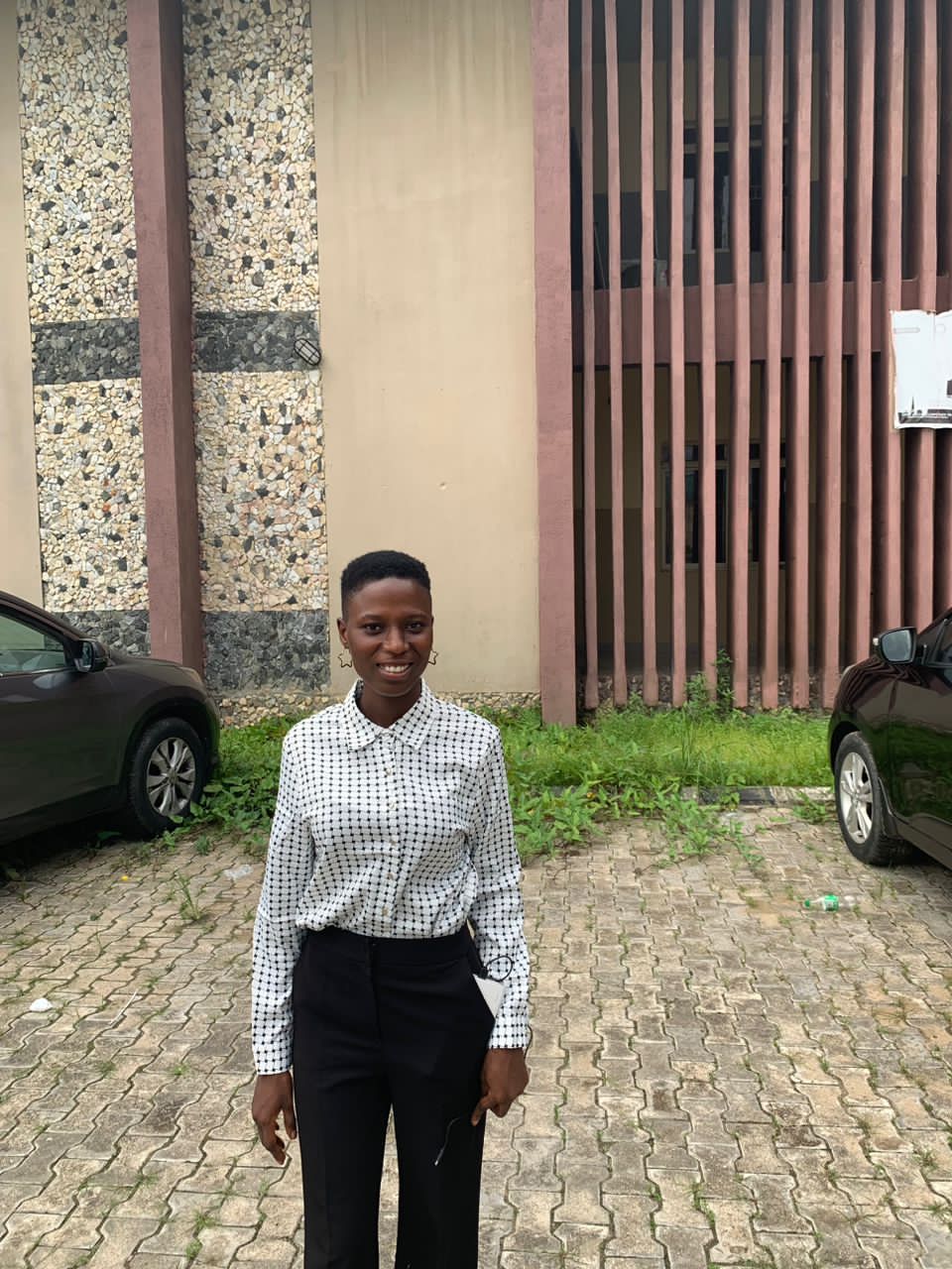 Kemetimiware Temeoweiseri logo