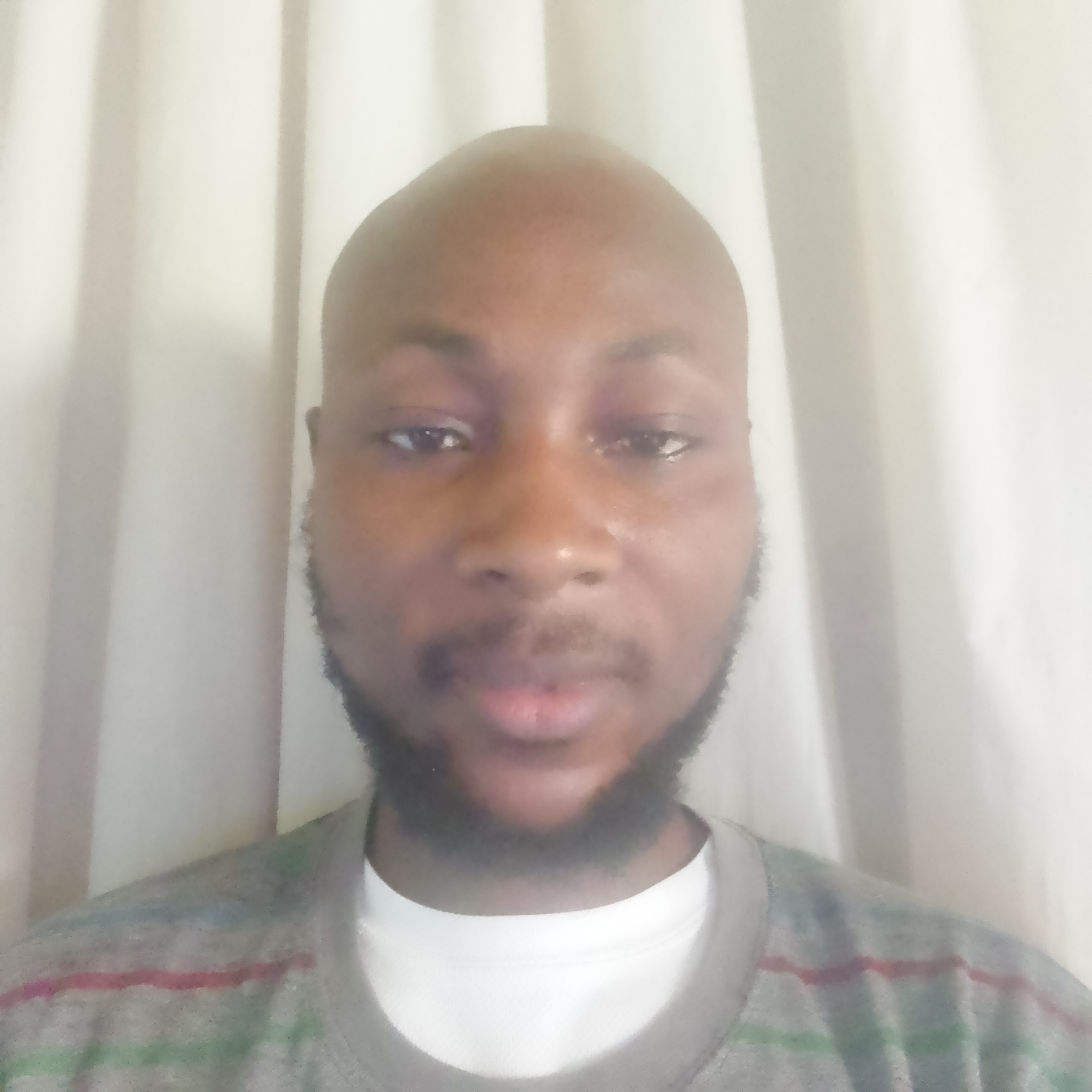 Passport for Prince Theo Arefa