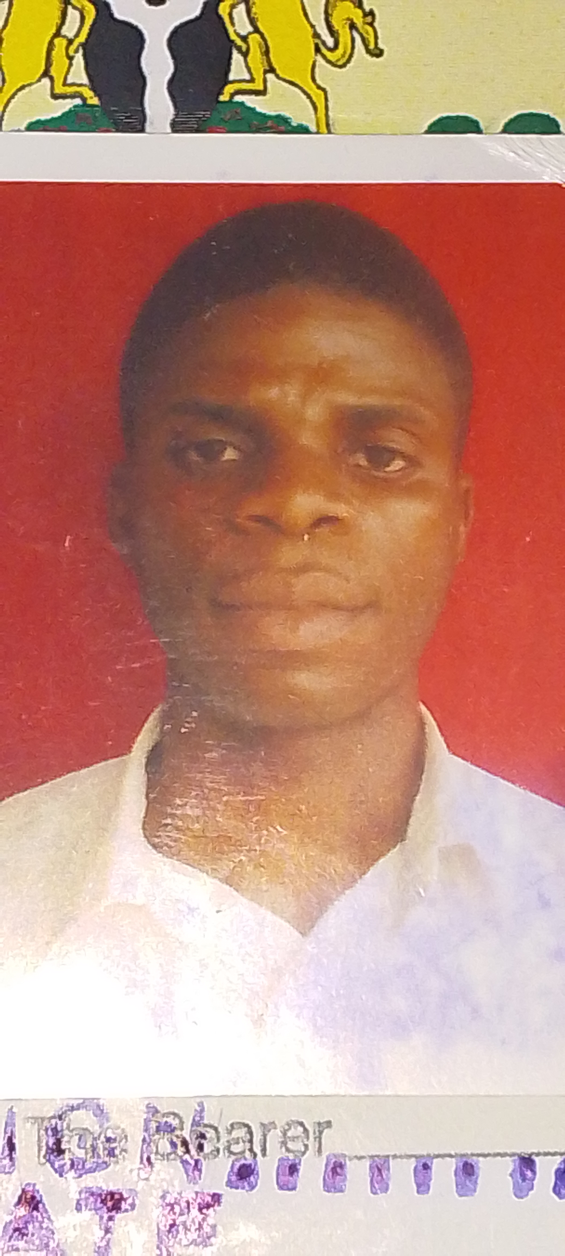 Passport for Nathaniel Ebiegberi Goodnews